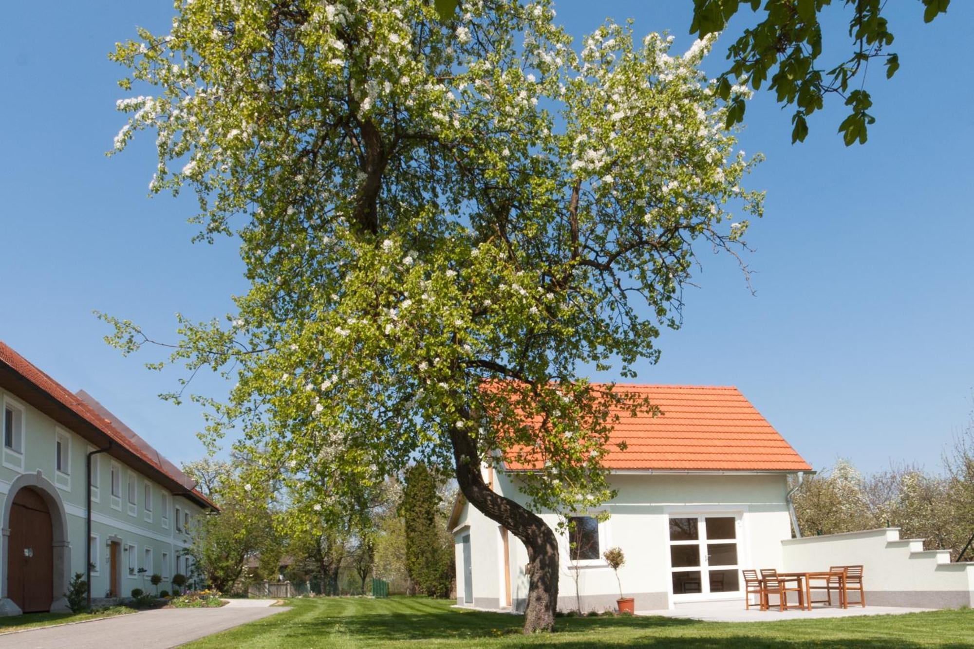Landhaus Essl Dietach Eksteriør bilde