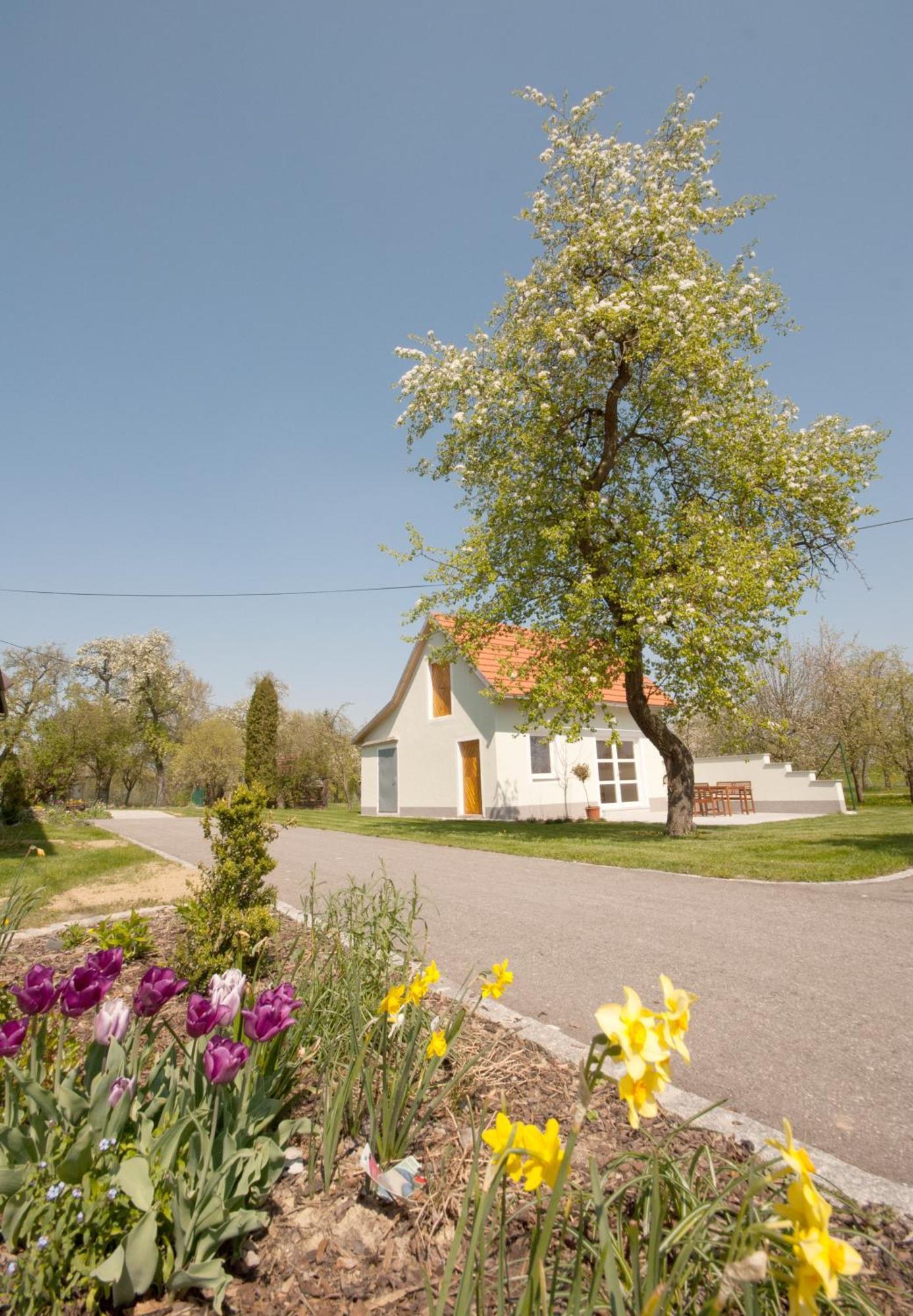 Landhaus Essl Dietach Eksteriør bilde